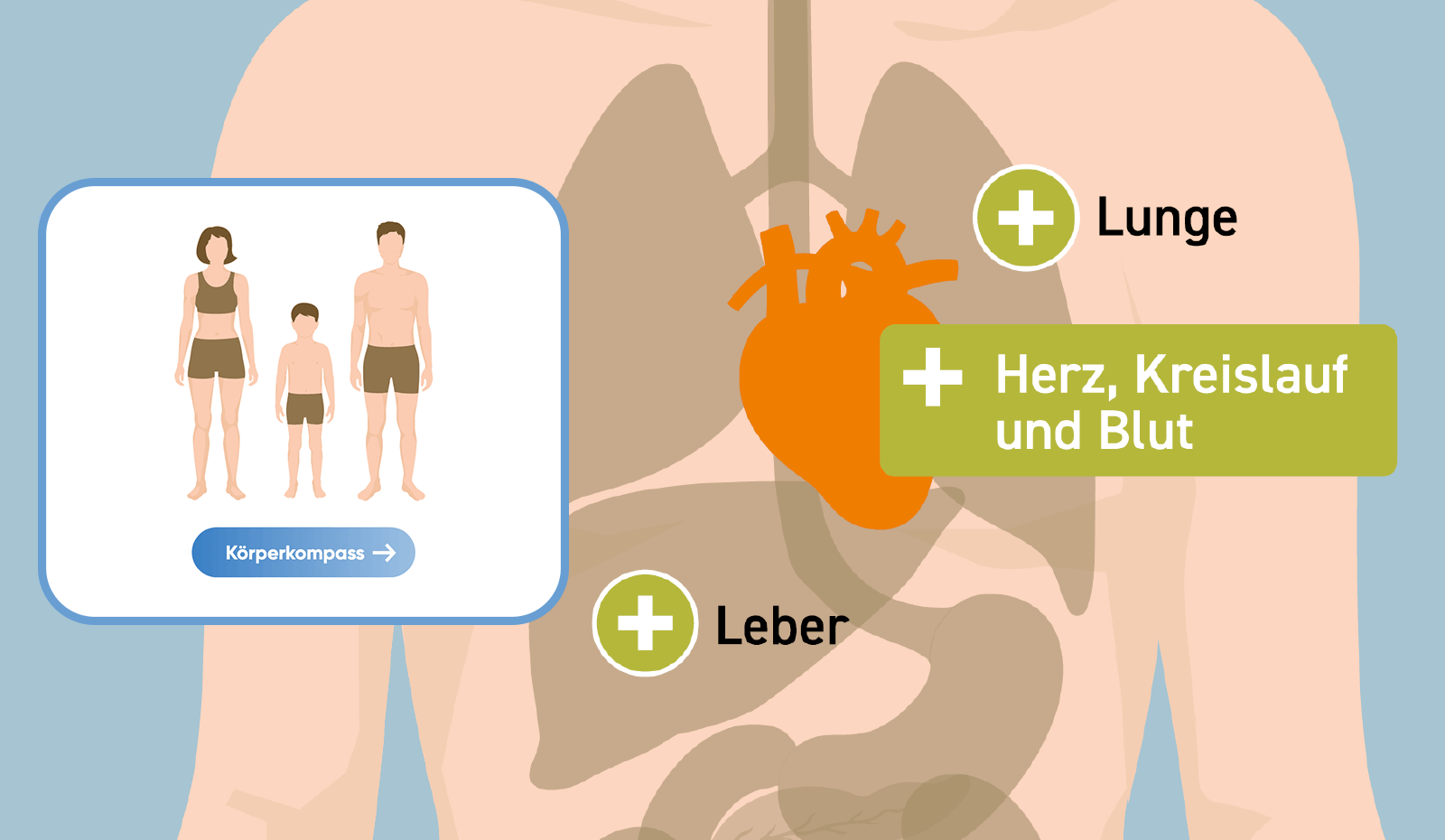 Mutterhaus Website Körperkompass